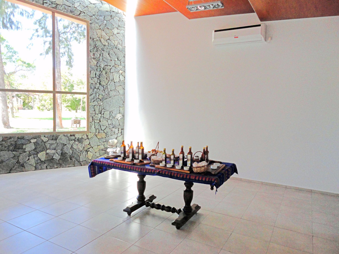 Olium-Villa Las Rosas必去景点