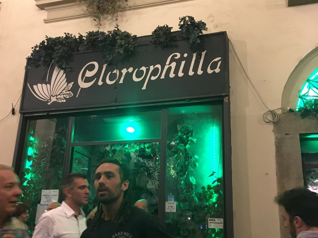 Clorophilla-都灵必去景点