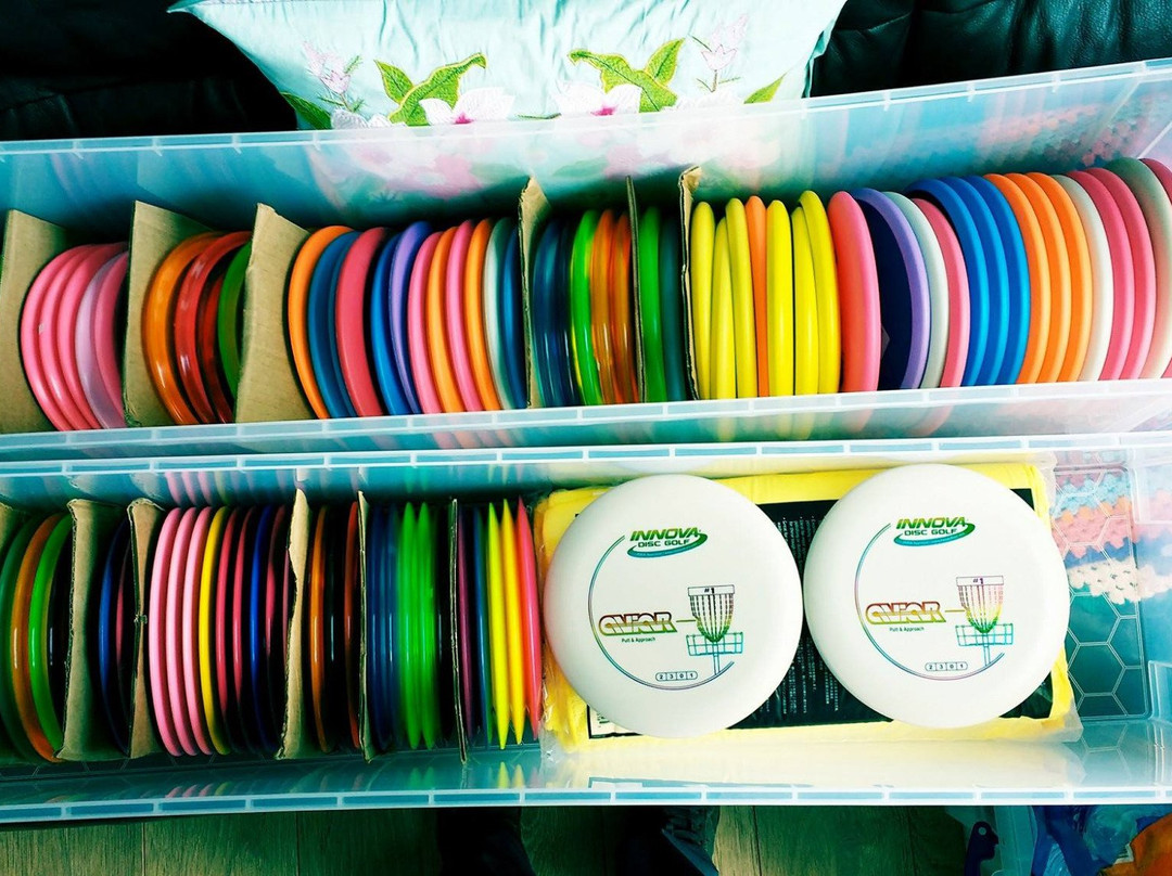 Ashton Court Disc Golf Course Advanced Course景点图片