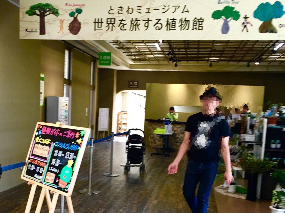 Tokiwa Museum景点图片