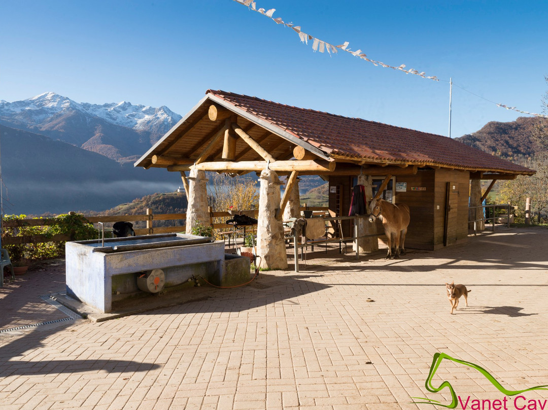 Ristorante dell'Agriturismo Vanet Cavallo