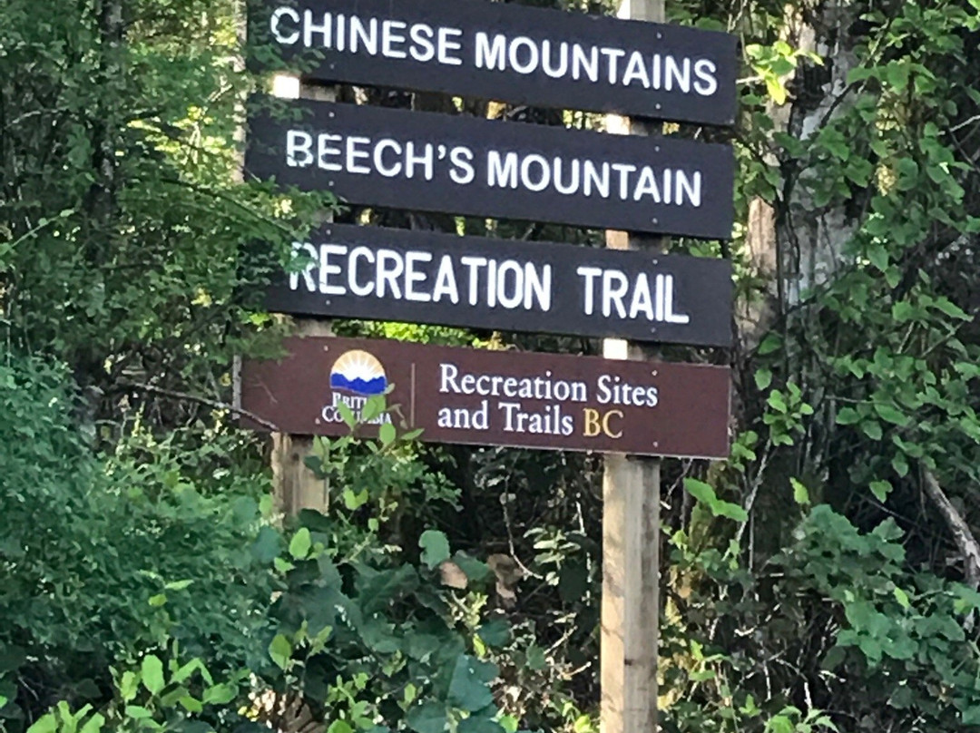 Chinese Mountains景点图片