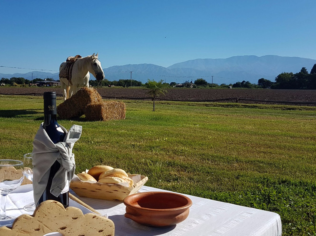 Finca La Falda
