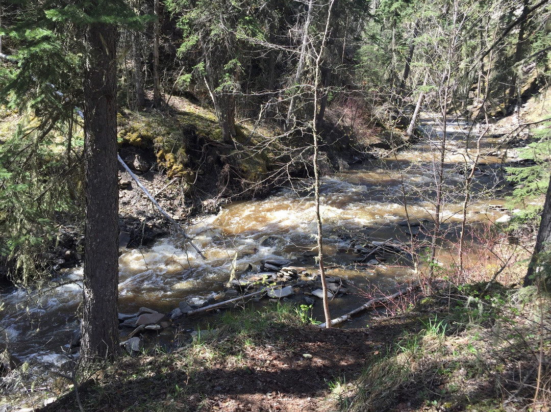 Bergeron Falls-Tumbler Ridge必去景点