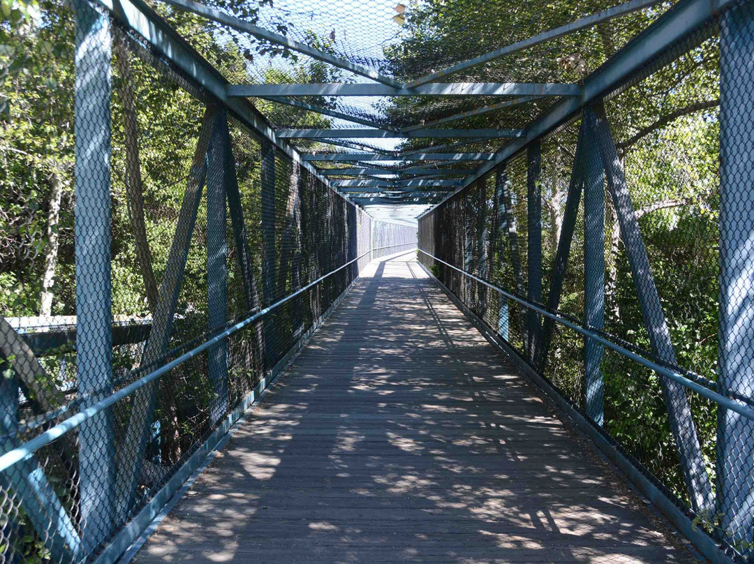 史蒂文斯溪小道-山景城必去景点