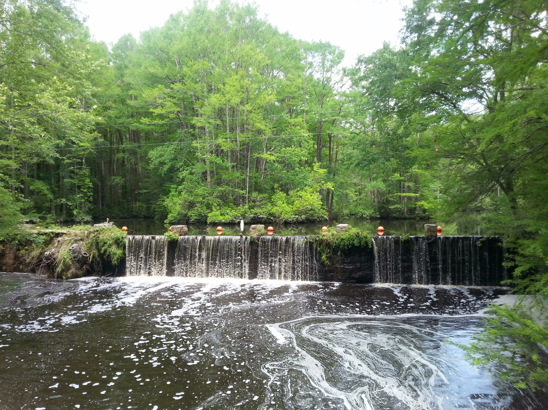 Robertson Millpond Preserve-Wendell必去景点