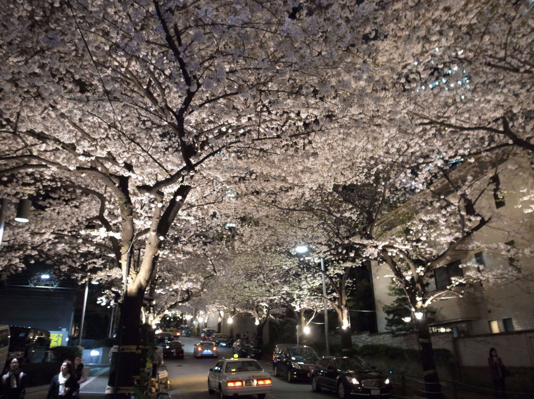 Spain-zaka-Roppongi必去景点