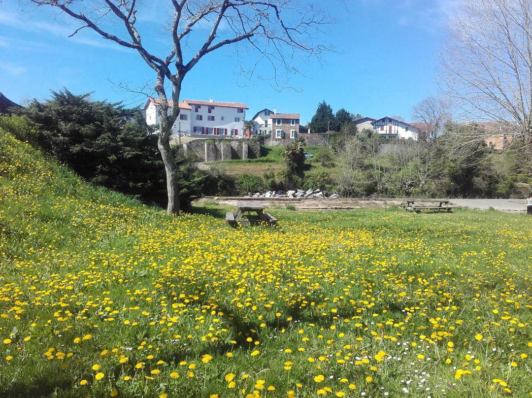 Ustaritz旅游攻略图片