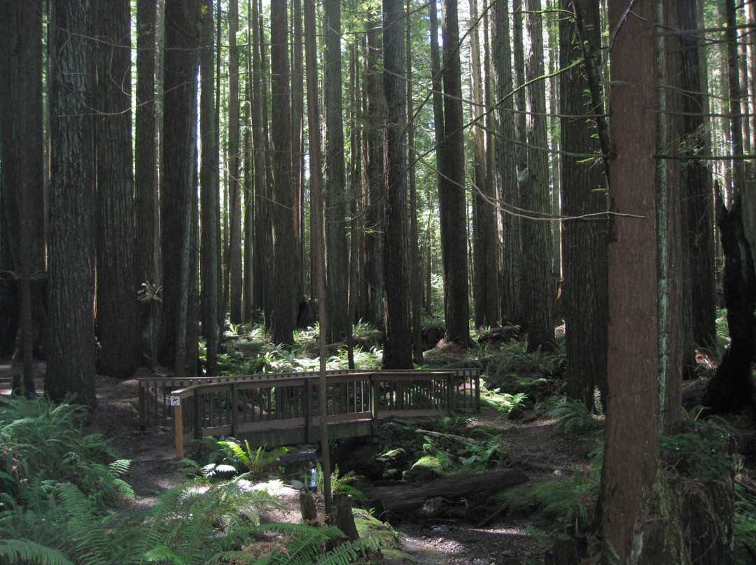 Florence Keller County Park & Campground景点图片