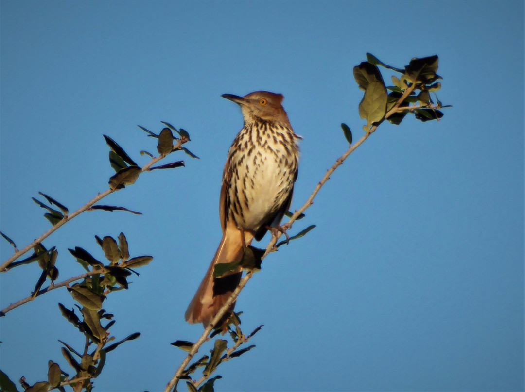 Hidden Waters Preserve-Eustis必去景点