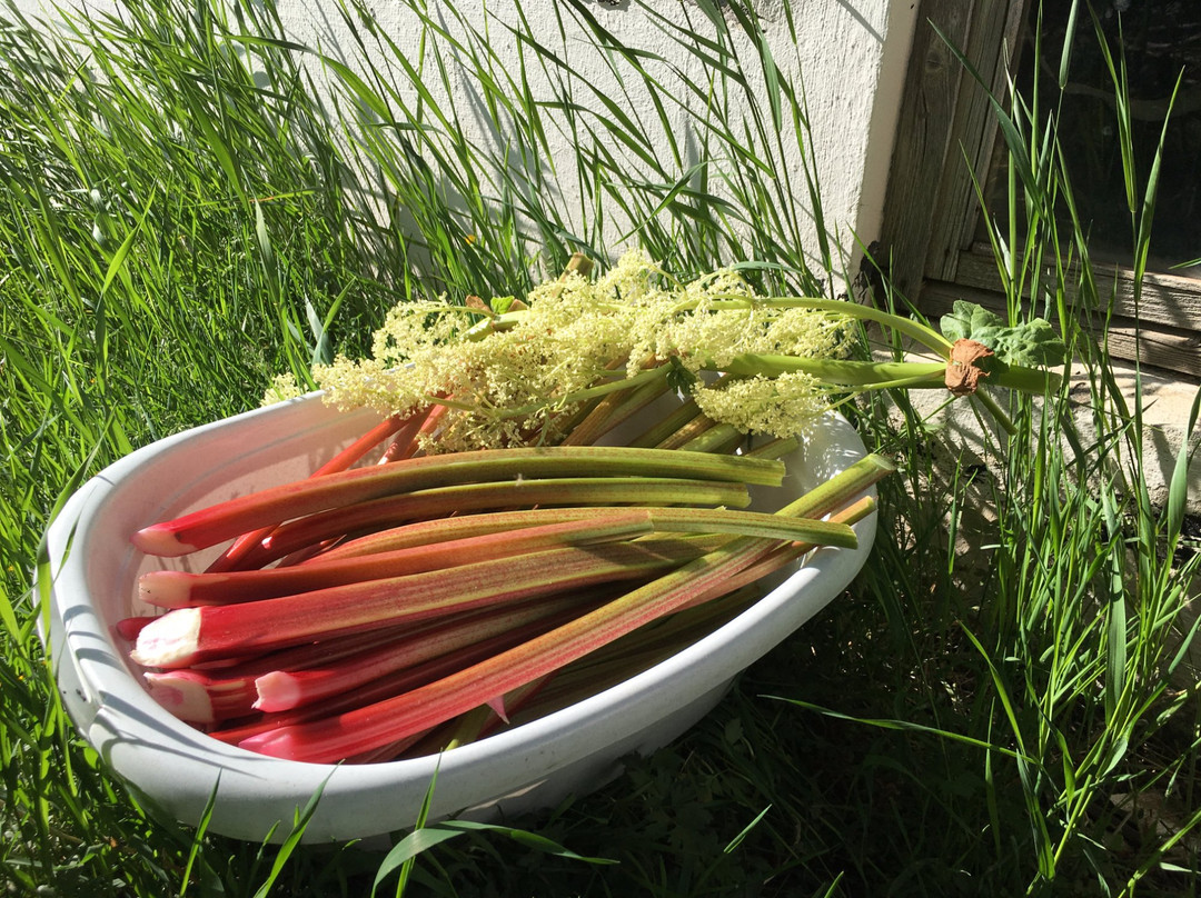 劳加尔酒店住宿-Ondolfsstadir Farm Bed & Breakfast