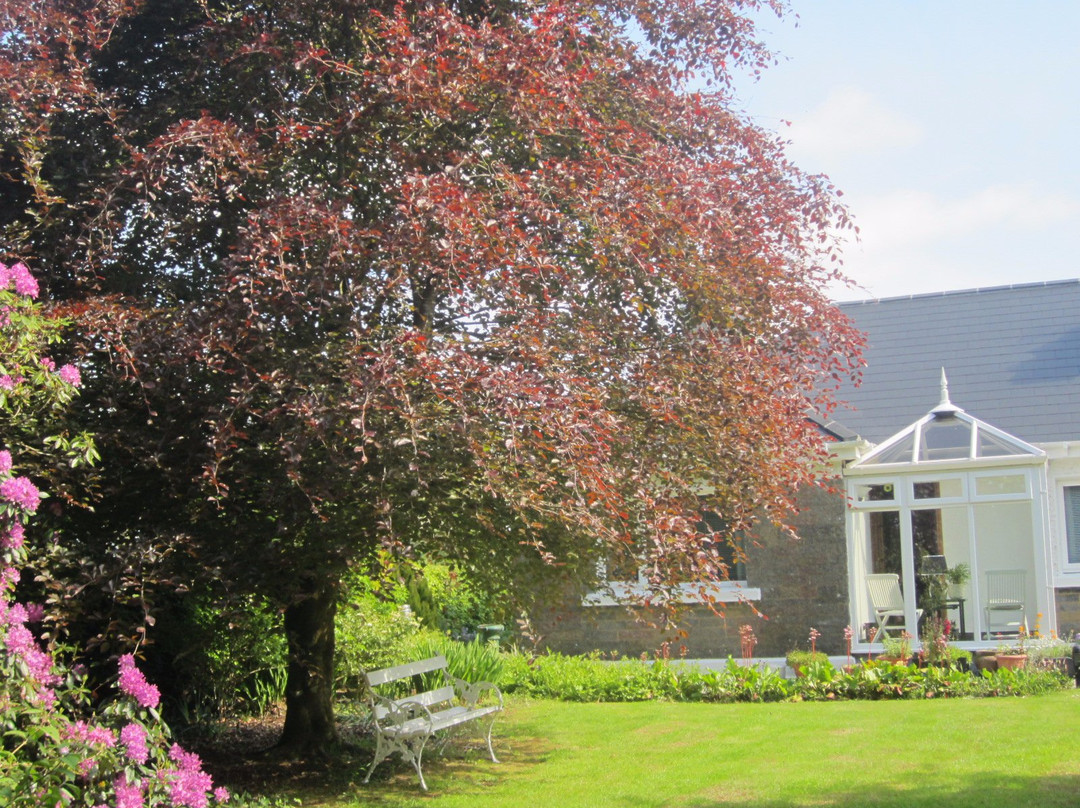 Claremorris酒店住宿-Conway's Bed & Breakfast