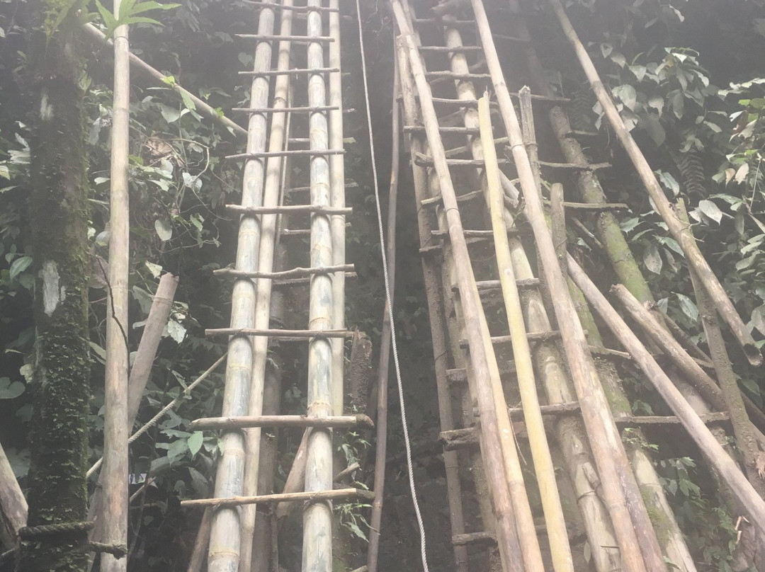 Pelaruga Waterfall-Tanjung Pura必去景点