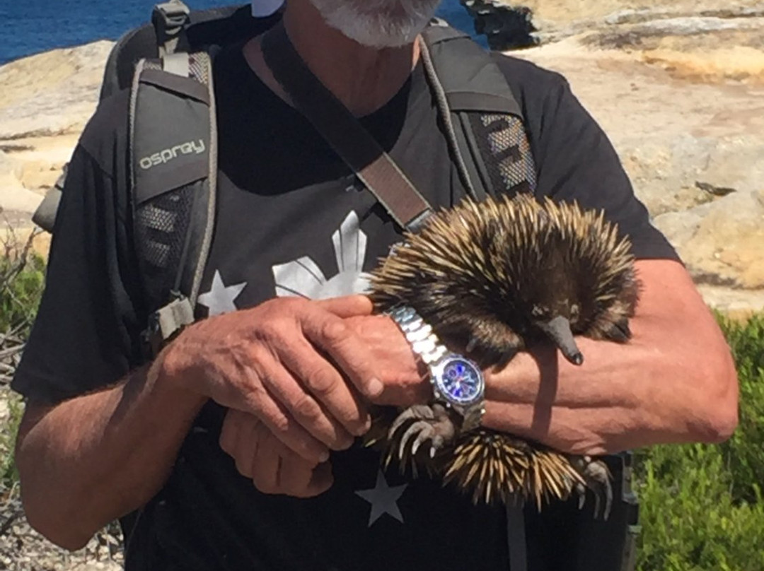Follow That Bird-悉尼必去景点