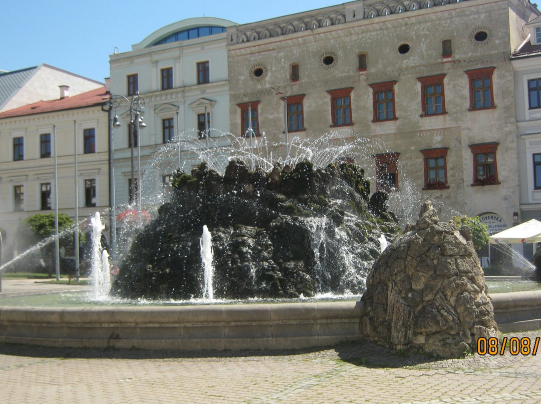 The Stone Fountain-Banska Bystrica必去景点