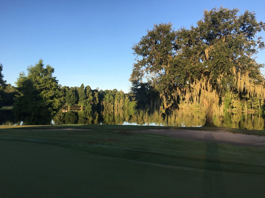 Innisbrook Golf Academy景点图片