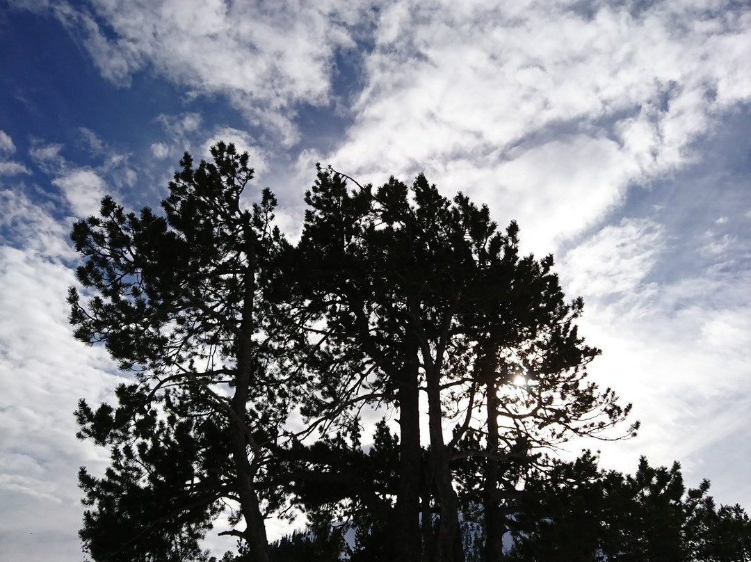 Mirador Coll de la Botella景点图片