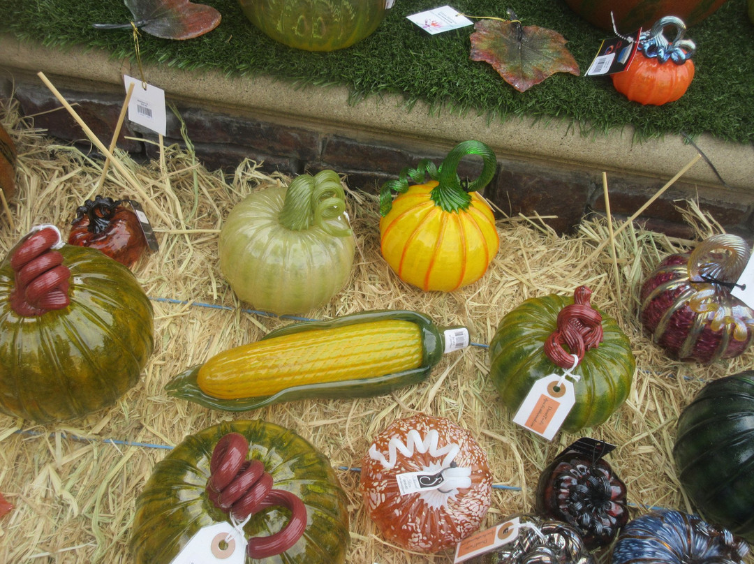 Bay Area Glass Institute-圣何塞必去景点