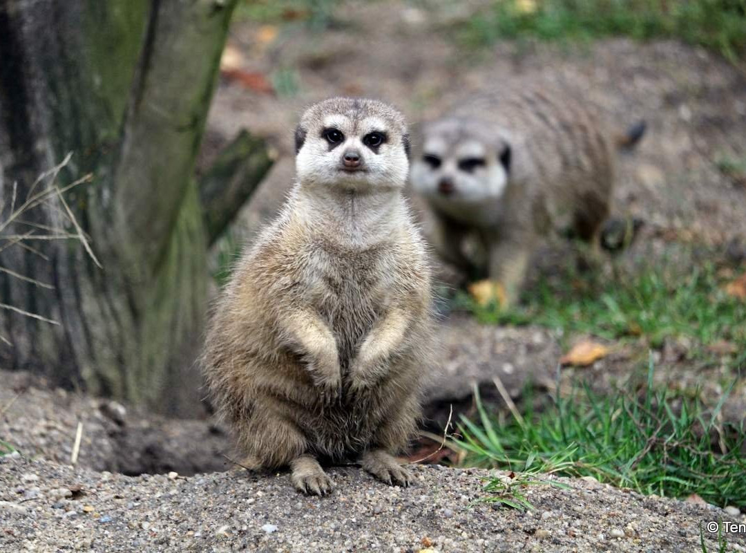 Tierpark Weißwasser