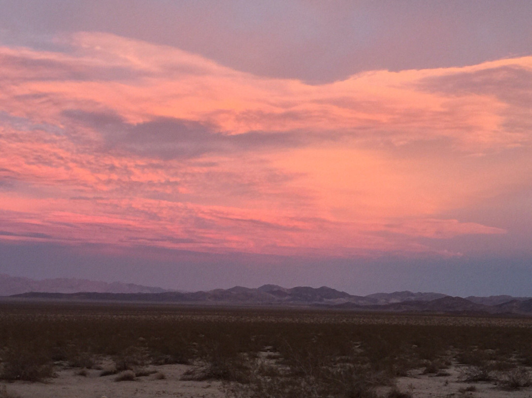 The Pinto Basin-约书亚树国家公园必去景点