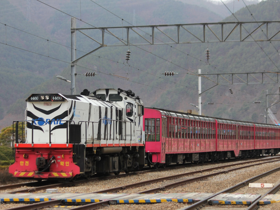 V-train-奉化郡必去景点