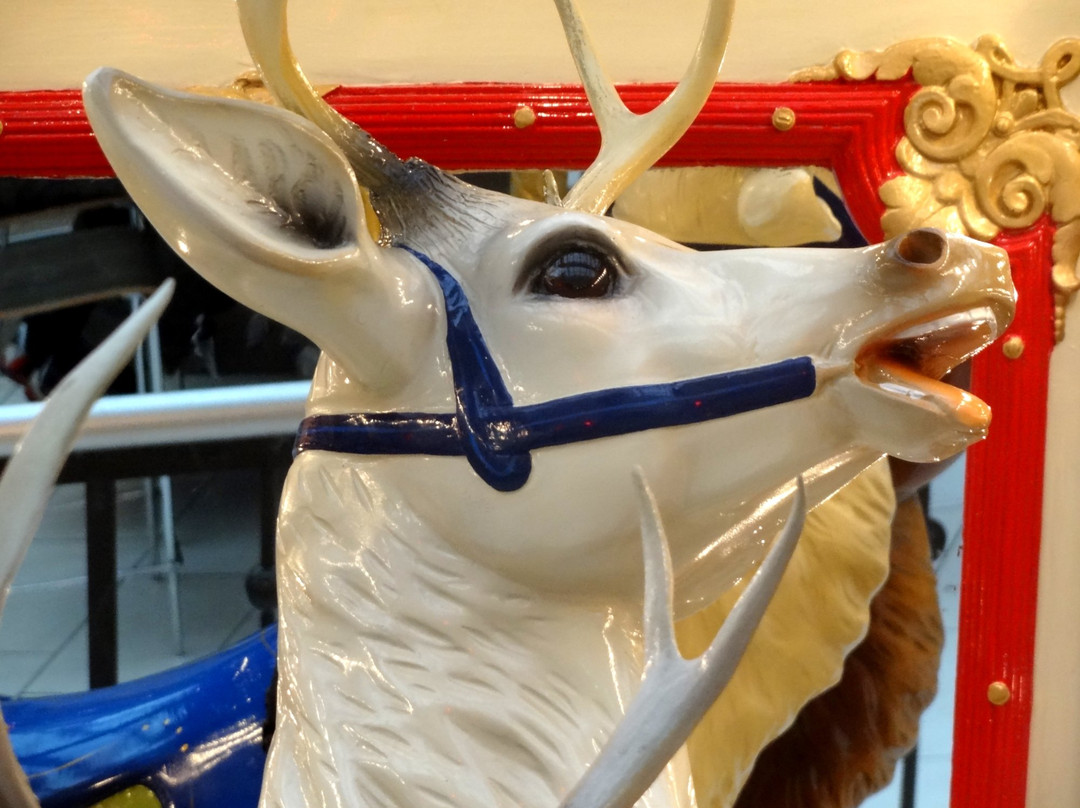 弗蔡斯商业街-Hoover必去景点