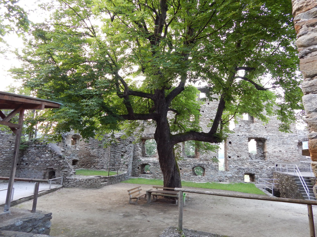 Ruine Painburg景点图片