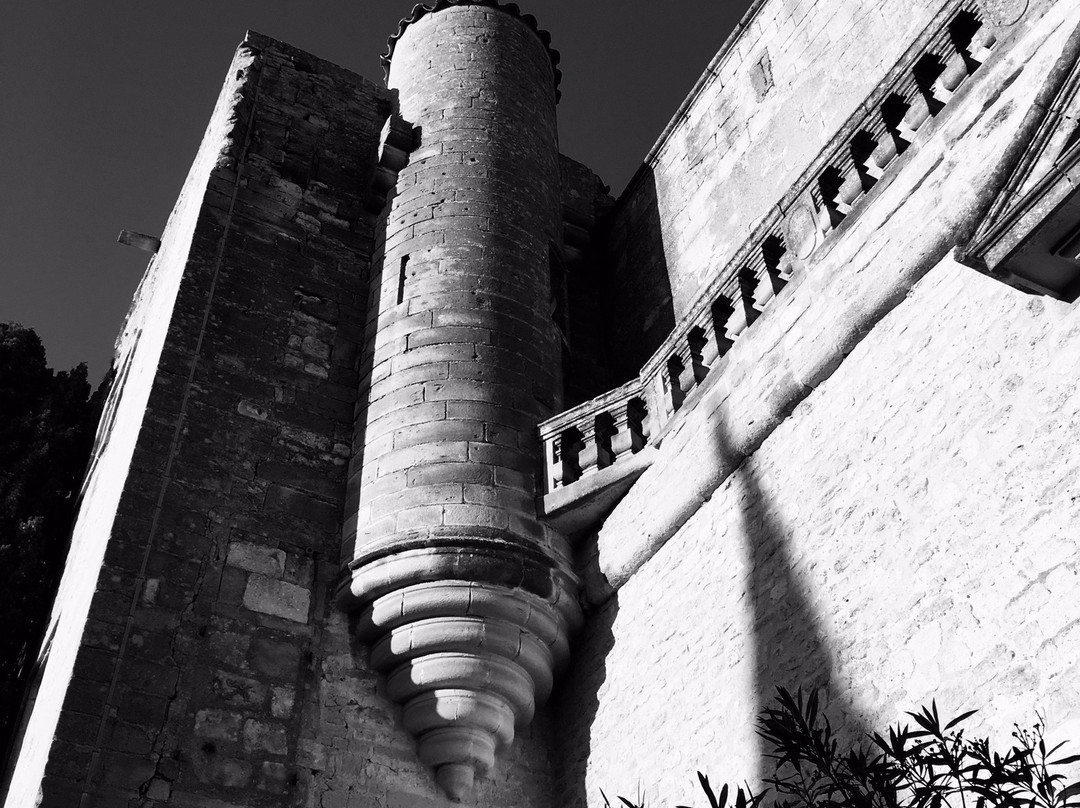 Chateau de Villevieille景点图片