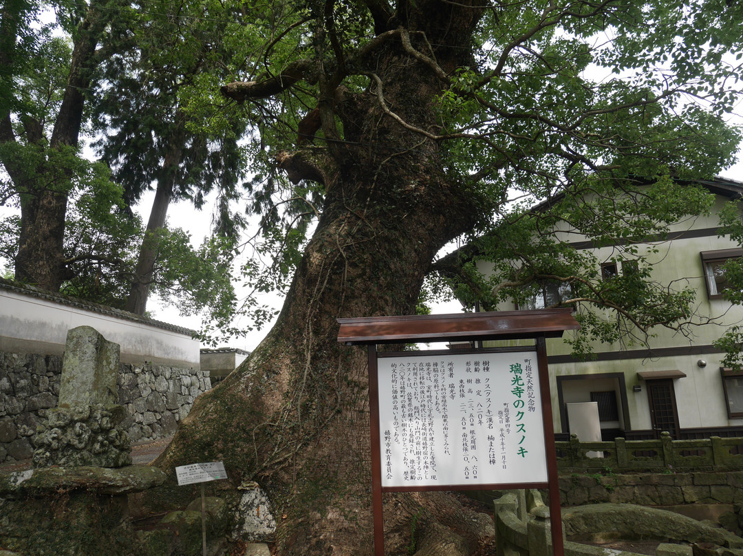 Zuikoji Temple-嬉野市必去景点