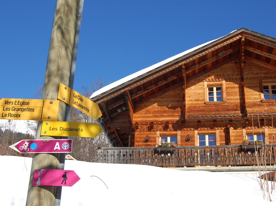 Les Diablerets酒店住宿-Le Madrier