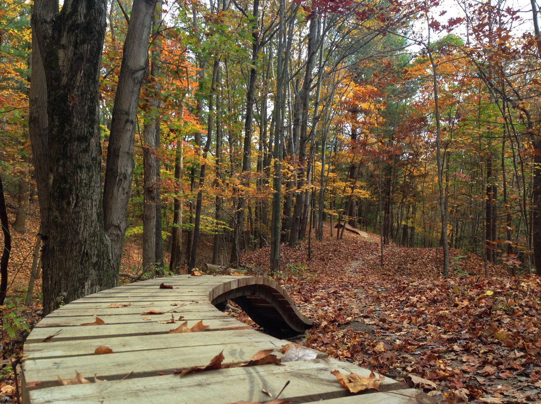 Griffin Bike Park-特雷霍特必去景点