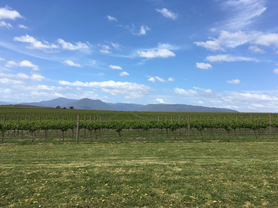 Warramunda Estate-Woori Yallock必去景点