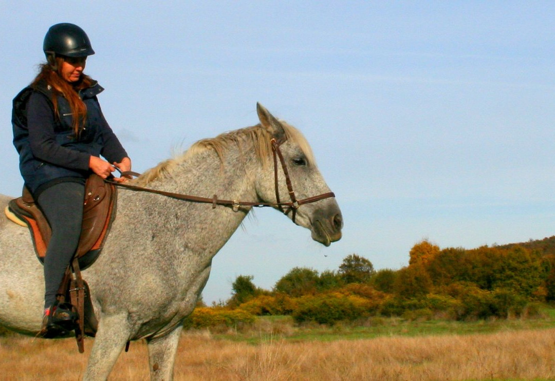 Musina旅游攻略图片