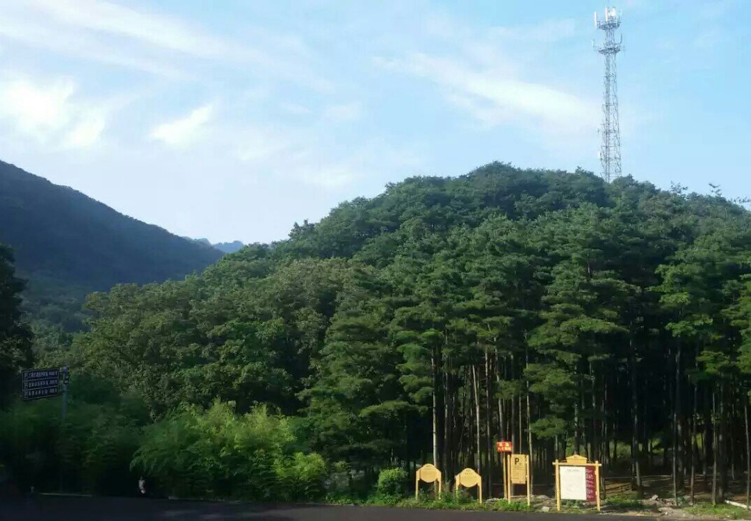 宝天曼保护区-内乡县必去景点