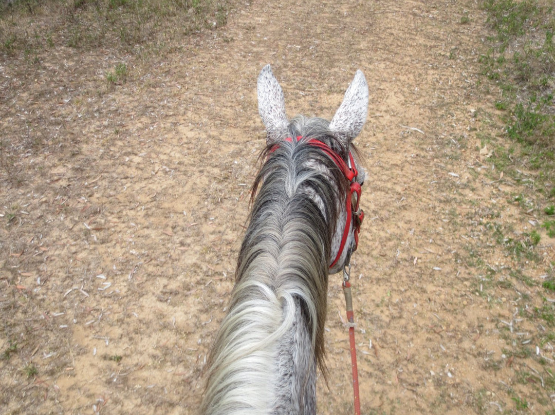 Pocquereux Randonnées-La Foa必去景点