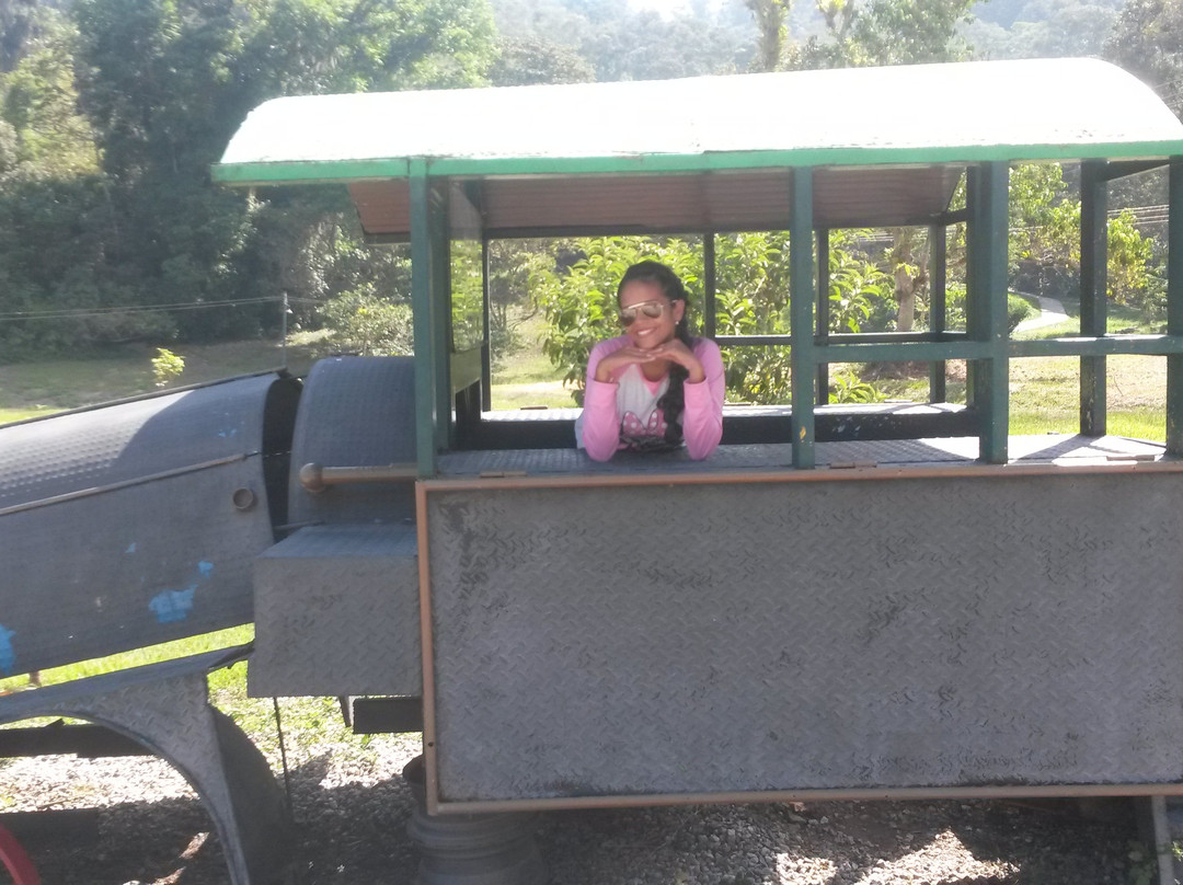 La Venezuela de Antier-梅里达市必去景点