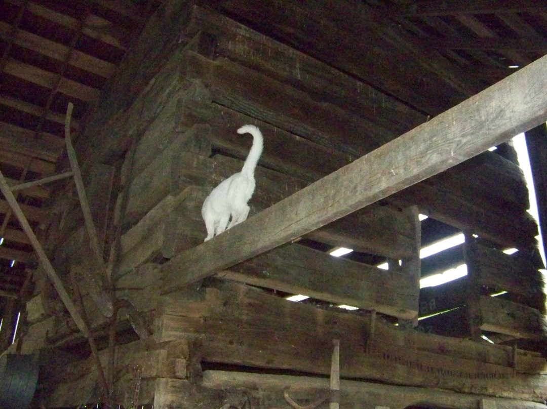 Mountain HomePlace-Paintsville必去景点