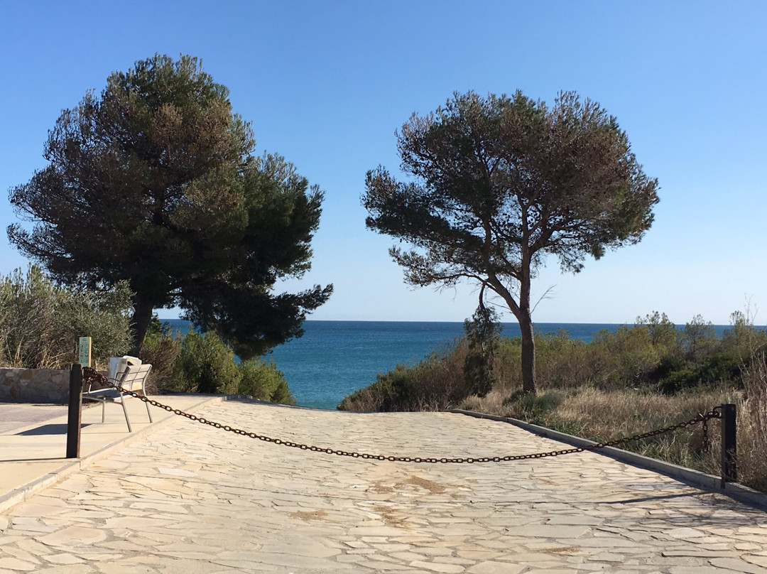Cala Vidre景点图片