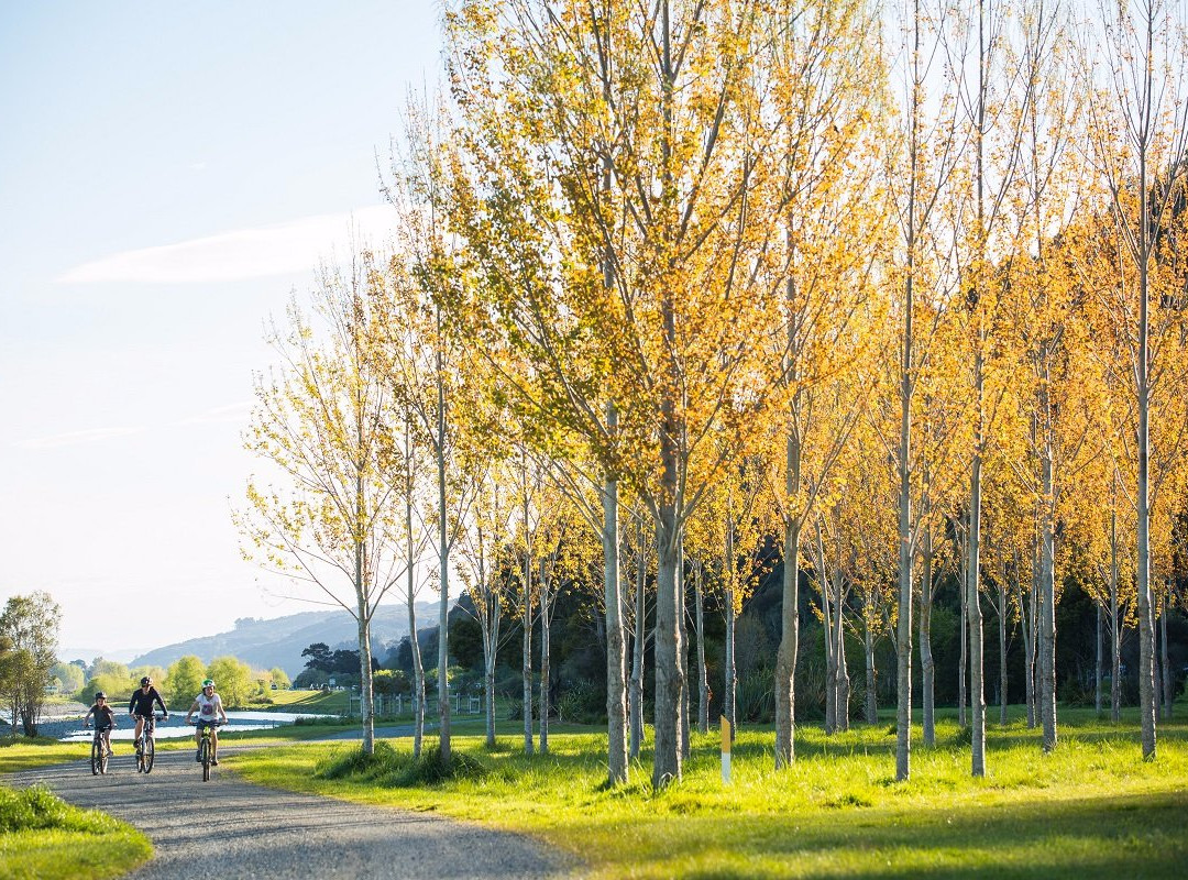 Cycle Remutaka-下赫特必去景点