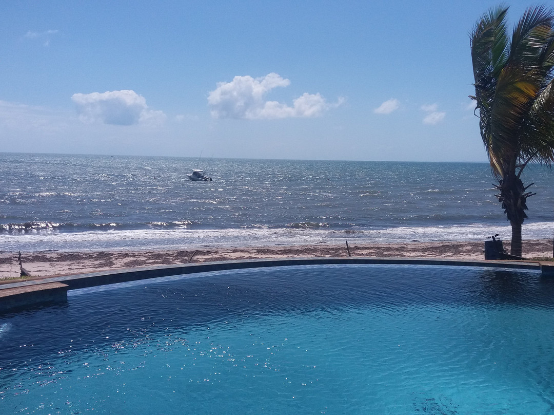 Dugong Mozambique - Inhassoro