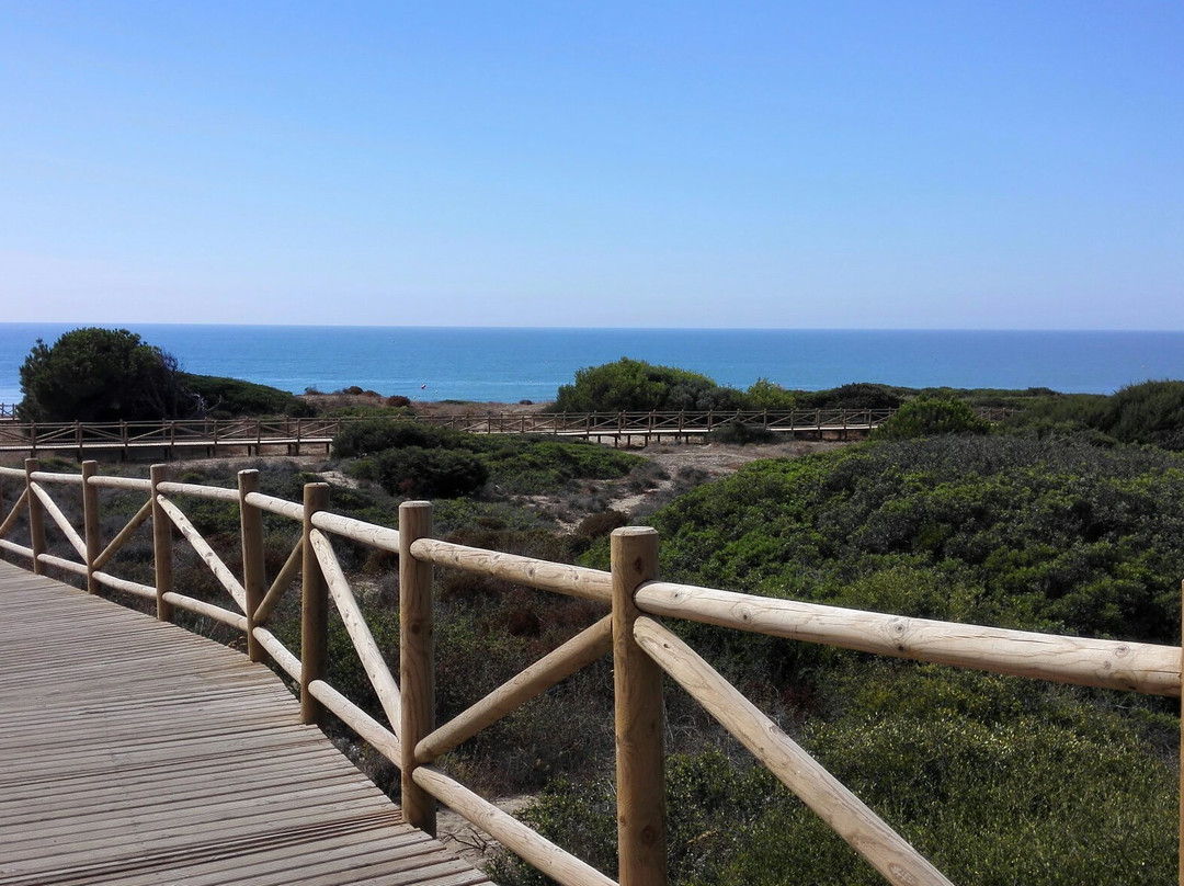 Senda Litoral Dunas de Artola景点图片
