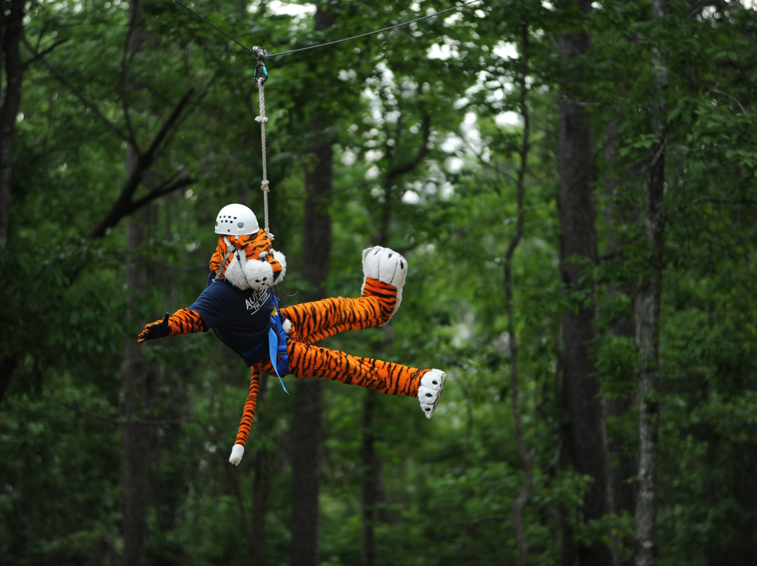 AU Challenge Course-奥本必去景点