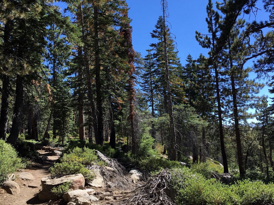 Aspen Meadows Pack Station景点图片