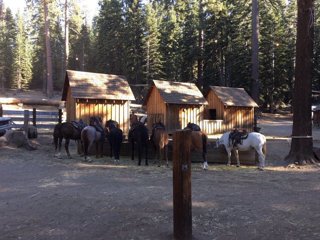 Aspen Meadows Pack Station景点图片