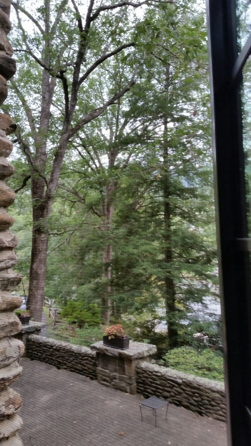 Assembly Inn-酒店景观