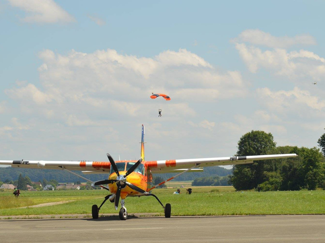 Skydive Saulgau景点图片