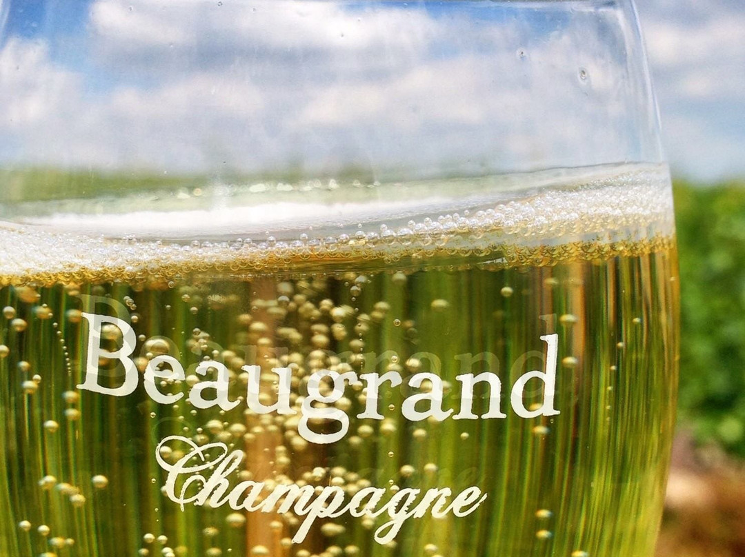 Champagne Beaugrand-特鲁瓦必去景点
