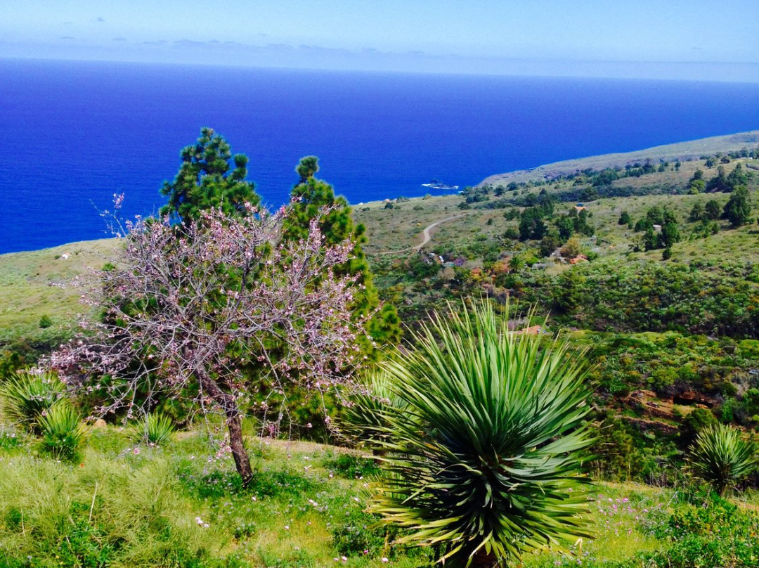 Ruta de los Dragos de Buracas