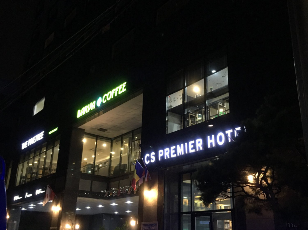 CS Premier Hotel主图