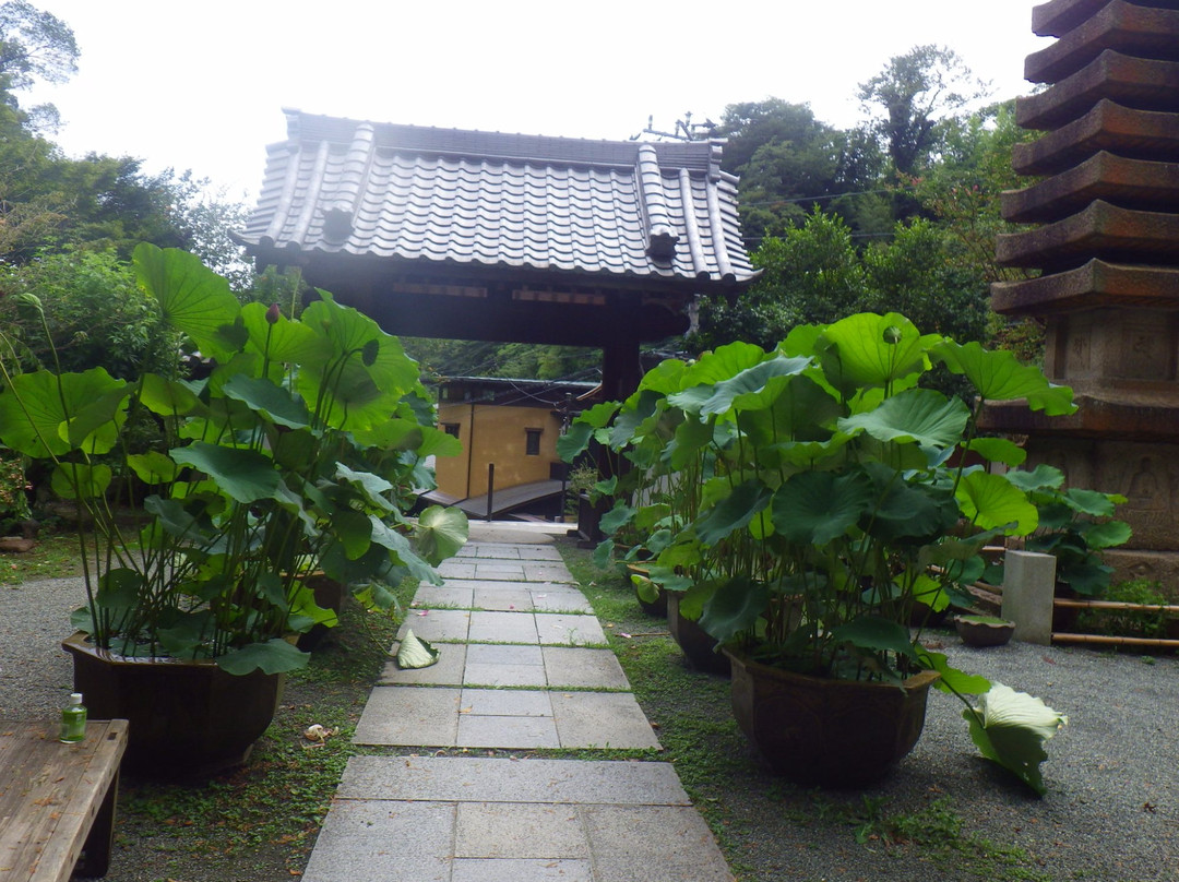 Kakuonji Temple-镰仓市必去景点